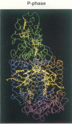 Rhodopseudomonas photosynthetic reaction centre Cyt c 2 Periplasm Membrane M
