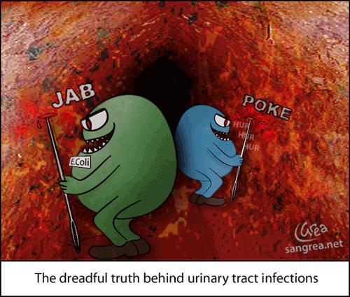 Kidney Disorders and Diseases 3. Urinary Tract Infection (UTI) Caused by E.