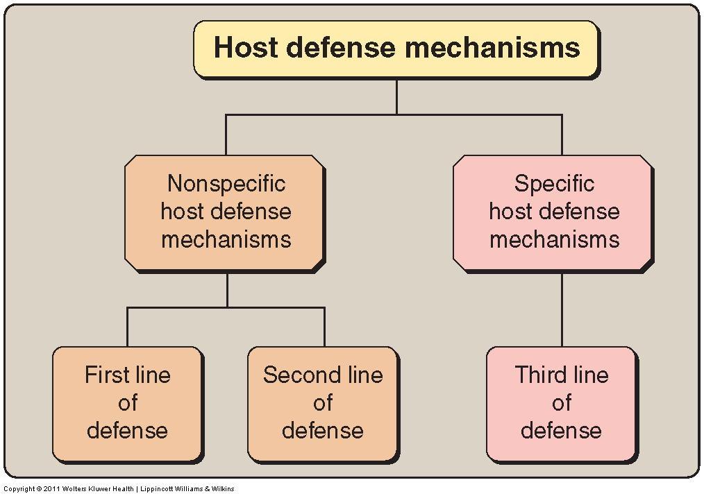 Mecanismos Específicos Primera Línea de Defensa