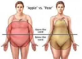 The Life Cycle Of A Female Fat Cell: 45 years You notice that your upper body has physically and