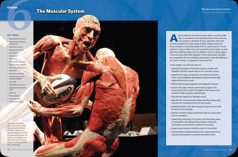 THE MUSCULOSKELETAL SYSTEM 2015