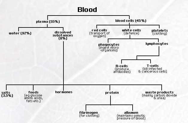 Credit: moodle Plasma transports: blood cells soluble nutrients e.g.