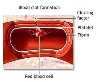 #75 Blood clotting When an injury causes a blood vessel wall to break, platelets are activated.