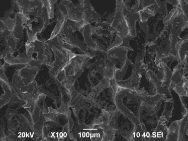 In Fig. 5 re shown SEM imges of Cu-Sn nnoprticles synthesized using C-fom s support from mixture of 2.0М CuCl 2.2H 2 O nd 2.0М SnCl 2.2H 2 O solutions t the sme mss rtio Cu: Sn=40:60. c Fig.5. SEM imges of Cu-Sn nnoprticles deposited from mixture of 2.