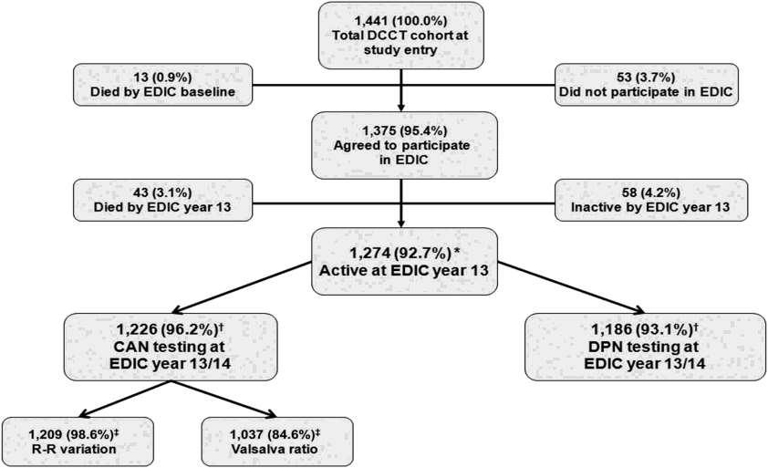 Flow diagram of DCCT/EDIC subject participation in CAN and DPN assessments at EDIC year 13/14. *Percentage based on the original number of EDIC participants (n = 1,375).