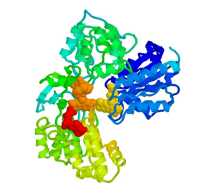 Some proteins control the rate of reactions and