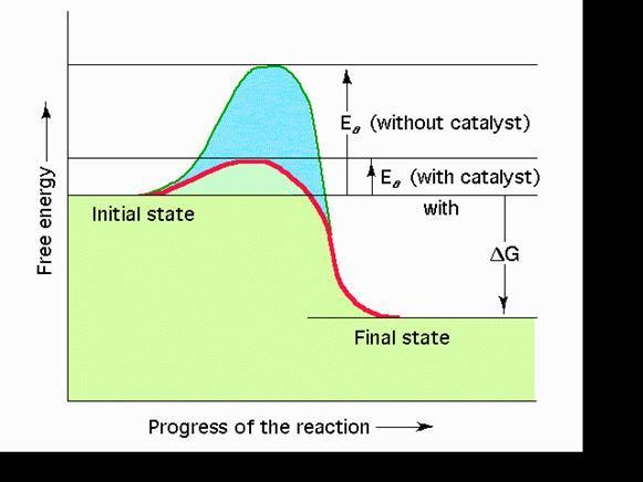 Energy needed to start a chemical reaction is activation energy.
