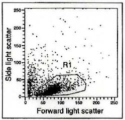 Appendix C Representative Staining Data for Activated Mouse Splenocytes: Figure 1. Light scatter profile for activated mouse splenocytes.