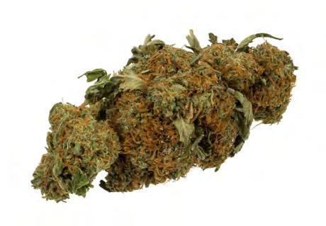 Definitions Cannabis - indica, sativa, and ruderalis Cannabinoids: Endocannabinoids