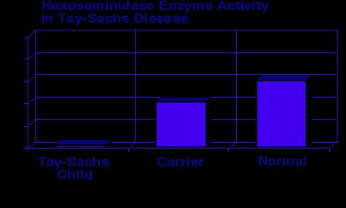 Tay-Sachs disease is caused by a dysfunctional enzyme that fails to