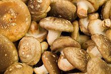 Shiitake Mushrooms Long a symbol of longevity in Asia because of their health-promoting properties, shiitake mushrooms have been used medicinally by the Chinese for more than 6,000 years.