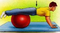 Page 6 of 7 Pull opposite knee to chest until a stretch is felt in the buttock/hip area. Repeat 5 times each side. Lumbar Stabilization Exercise With Swiss Ball Lie on stomach over ball.