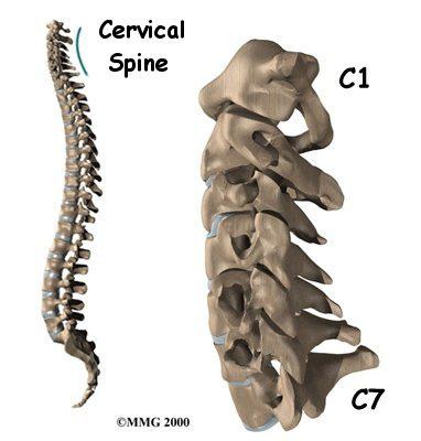 Instead, the problem usually develops over time from the stress and strain of daily activities. Eventually, the parts of the spine begin to degenerate.