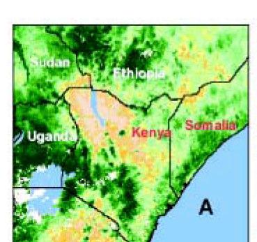 East Africa-dambos Correlation between heavy rainfall and outbreaks = accurate predictive models In