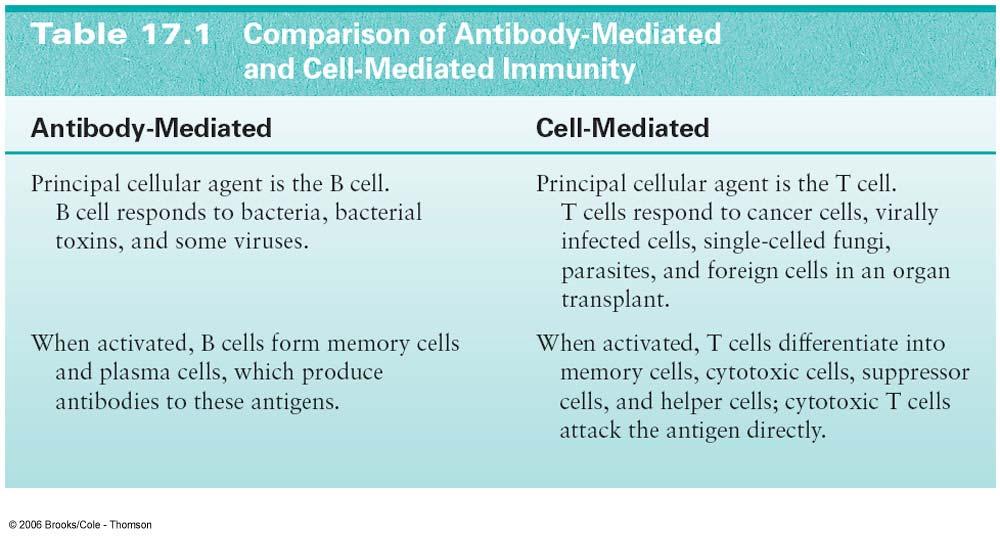 Antibody-Mediated and