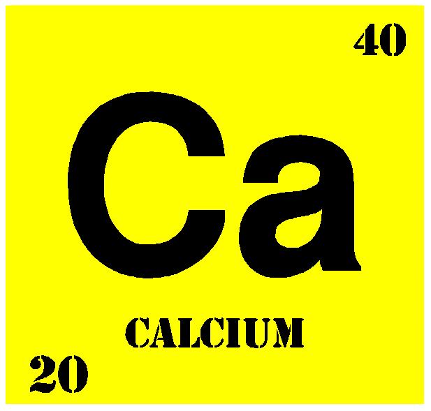 Calcium & Phosphorus Major mineral components of the skeleton Ninety-nine percent of total body calcium and 80% of the total body phosphorus are stored in the skeletal system.