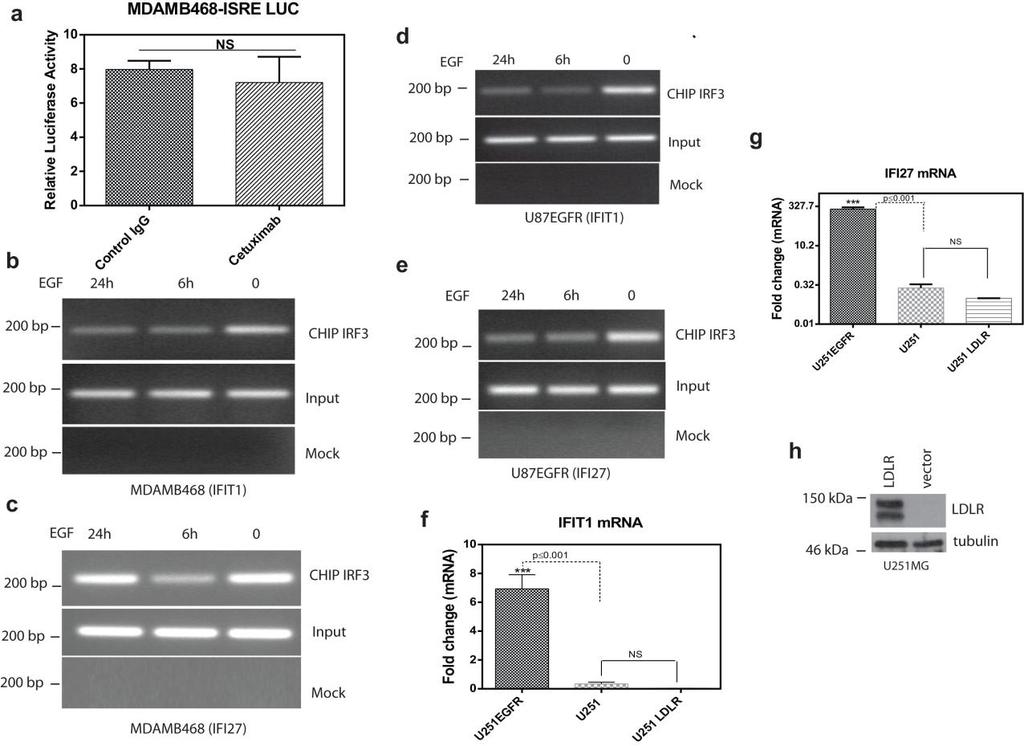Supplementary Figure 8 EGFR mediated affects on IRF3 promoter occupancy (a) The effect of Cetuximab on EGFR driven transcriptional activity of IRF3 was examined by using a synthetic pisre-luc
