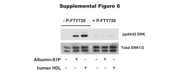 Supplemental Figure 6. Effect of S1P1 inhibition in S1P-induced activation of MAPK.
