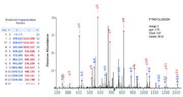 ERLR 94 e Mss spectrometry identifiction of Sin1-T398 phosphoryltion in vitro y ctive recominnt S6K1 P 393 RLR.FTTDVQLGISGDK.