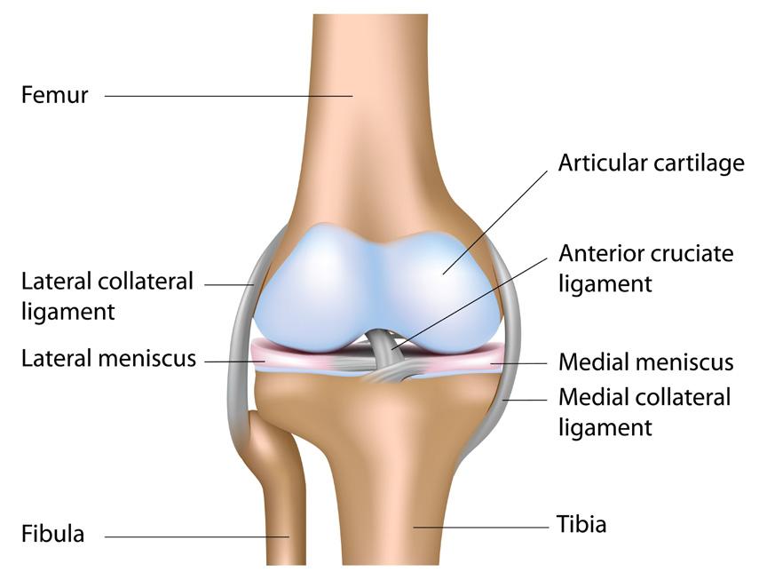 What is knee arthroscopy surgery?