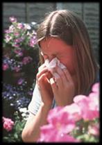 Allergies: adaptive immunity gone wrong