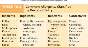 10/10/01 Nature of Allergens and Their Portals of Entry Allergens have immunogenic characteristics Typically enter through epithelial portals respiratory, gastrointestinal, skin Organ of allergic
