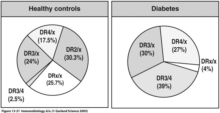 Susceptibility Factors MHC MHC Risk for Diabetes (IDDM) Relative Risk--- ratio of having a specific MHC allele increases risk for that disease. E.