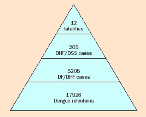 Dengue Outbreak in Cuba 1981 : health effects DF- dengue