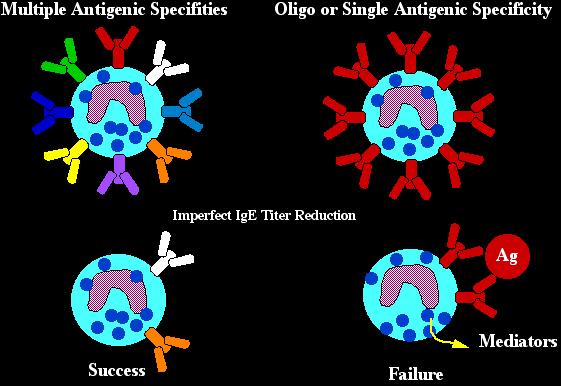 Multiplicity of Antigenic
