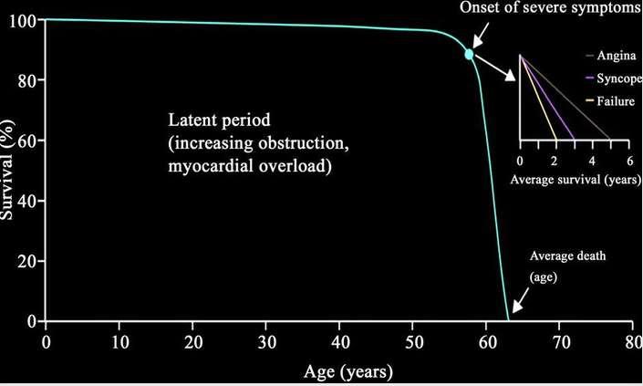 Clinical manifestation Dyspnea on exertion Angina 5 yrs. Syncope 3 yrs.