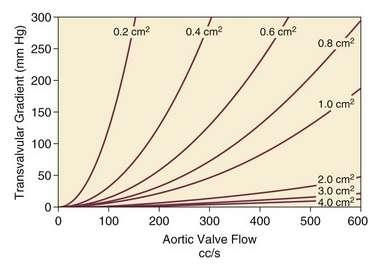 The relationship between transvalvular flow and