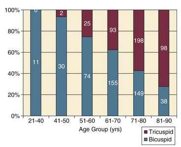 Distribution by age group of BAV versus TAV In patients undergoing