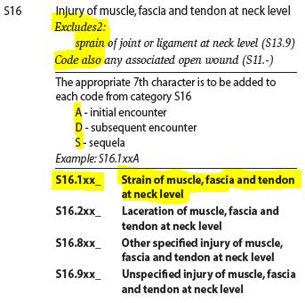 125 Sample Note Exam findings are consistent with cervical sprain/strain and acute cephalgia. The patient was the driver in a motor vehicle accident. In ICD-9, the codes might be: 847.