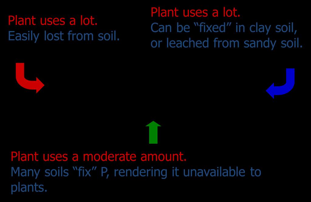 What is are Essential Plant
