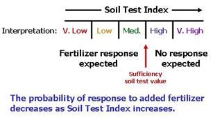 Soil Test Results Soil test results are extractable nutrients An index of available
