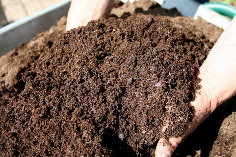Soils can be dynamic Health can depend