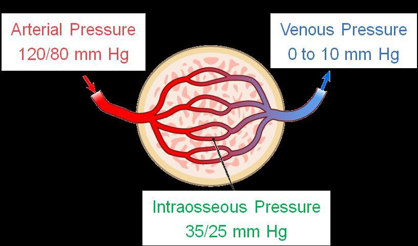 Flush Flow Maintain flow approx 1/3 arterial pressure Medullary space
