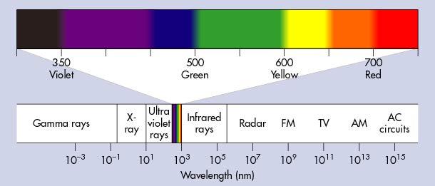 Perception is relative Perception not of environment (realism) but of our interpretation (relativism) Electromagnetic spectrum Butterflies see ultraviolet