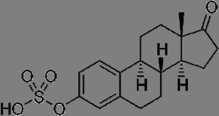 Estrone sulfate Introduction Estrone sulfate (E1-S) is a sulfate derivative of estrone, and is the most abundant form of circulating estrogens in both men and non-pregnant women 1,2.