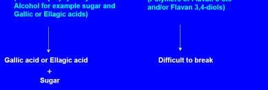 deficiencies) - High light intensity - High temperature - Severe drought -