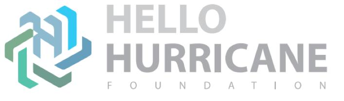 PROJECT ALPHA: PILOT PROGRAM COMPLETION REPORT Organisation Overview Using physical fitness as a vehicle to achieve broader social outcomes, Hello Hurricane takes a new approach to existing social