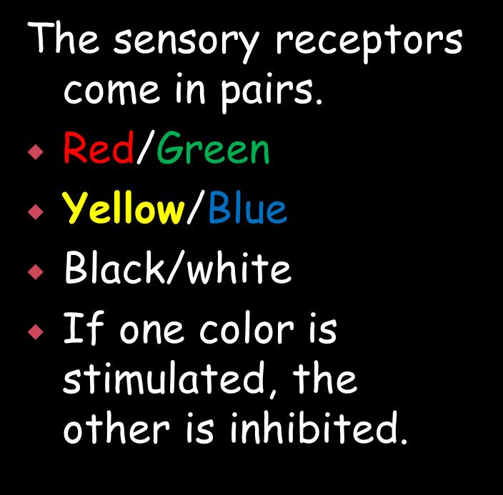 Opponent-process theory the theory that opposing retinal processes (red-green, yellow-blue, white-black) enable color