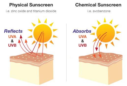 Myth #8 Every time I wear sunscreen, I get a reaction Types of sunscreens: UV filters generally block sunlight in one of two mechanisms: Physical sunscreens: Contain active mineral ingredients which