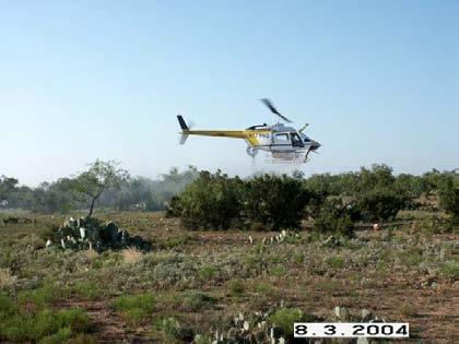Control of Mesquite-Pricklypear Complex with Aerial Application of Herbicides, 2003-2008 SUMMARY Charles R.