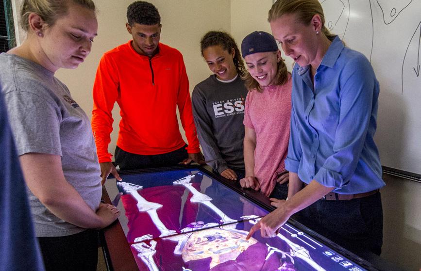 Many students go on to graduate programs across the nation to study occupational therapy, physical therapy, and other science-related fields.