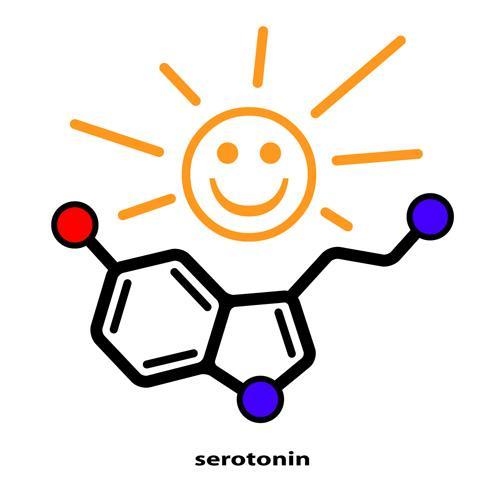 sites, or a shortage in tryptophan, the chemical from which serotonin is made.