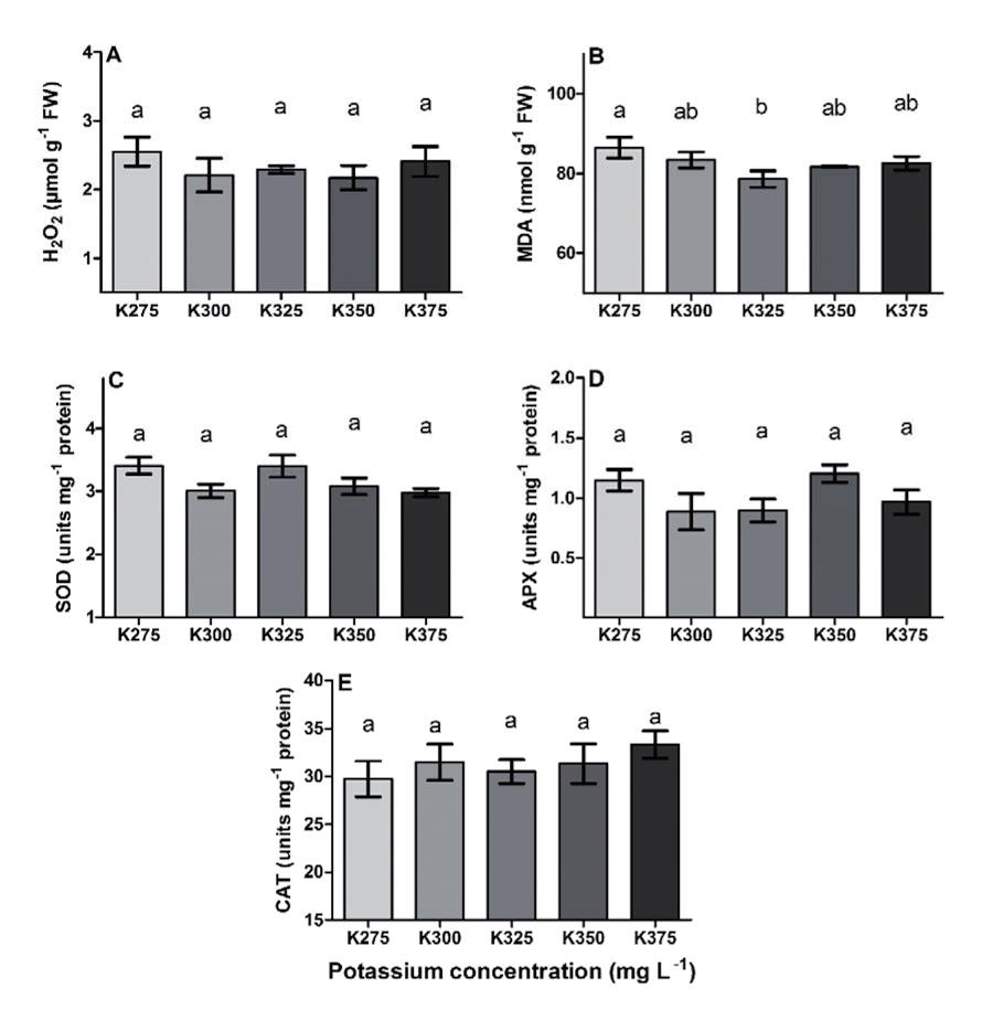 298 Chrysargyris et al. Figure 2. Effects of different potassium (K) levels on the damage index and antioxidant enzymes activities in lavender plant.