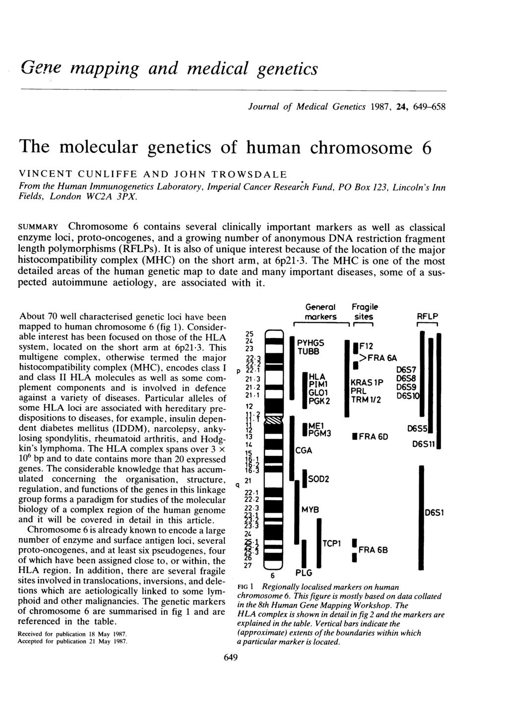 e-one mapping and medical genetics Journal of Medical Genetics 1987, 24, 49-58 The molecular genetics of human chromosome VINCENT CUNLIFFE AND JOHN TROWSDALE From the Human Immunogenetics Laboratory,