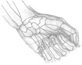 This lies on the back of the wrist, two thumb s width towards the elbow from the wrist crease.