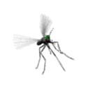 Transmission of dengue virus human-to-human transmission via the bite of an infected mosquito 3 to 14 days later
